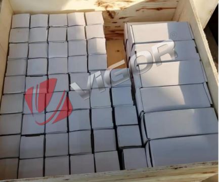 China Vigor Float Valve Package